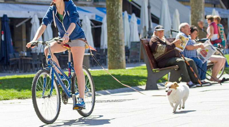 как кататься на велосипеде с собакой